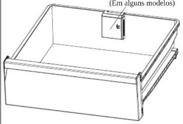 (Em alguns modelos)