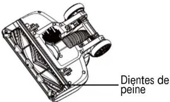 Dientes de peine