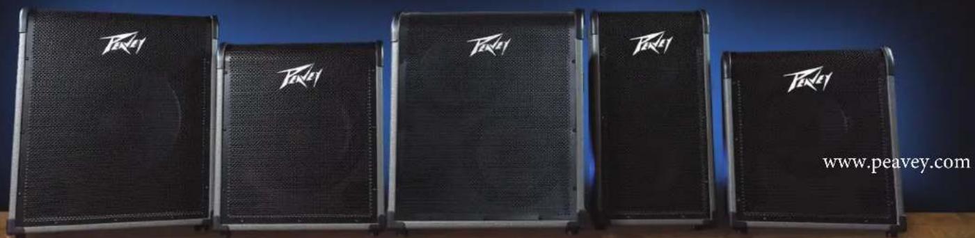 PEAVEY MAX 300 - Amplificadores de bajos serie MAX® - 1