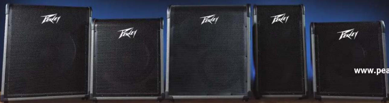 PEAVEY MAX 300 - MAX® 시리즈 베�이스 엄프 - 1