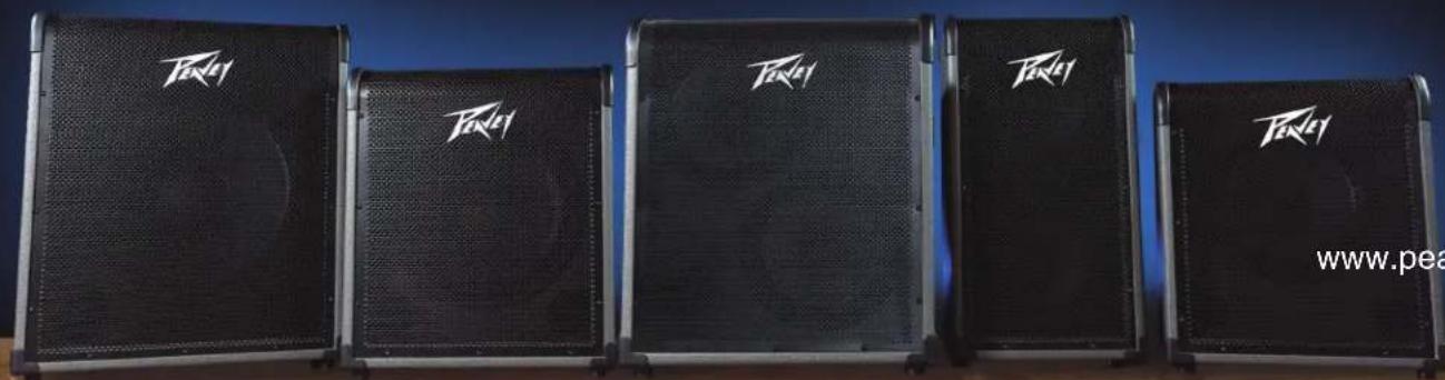 PEAVEY MAX 300 - MAX® 系列低音放大器 - 1