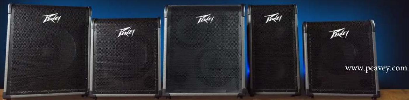 PEAVEY MAX 300 - MAX® Series Bass Amplifiers - 1