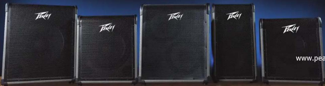 PEAVEY MAX 300 - MAX® シリーズ ベースアンプ - 1