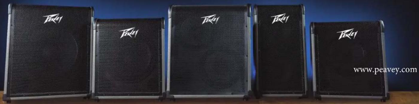 PEAVEY MAX 300 - Amplificadores para Contrabaixo Série MAX® - 1