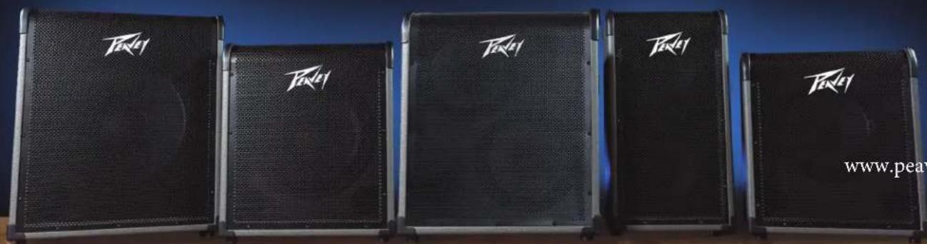 PEAVEY MAX 300 - Amplificateurs série MAX® - 1