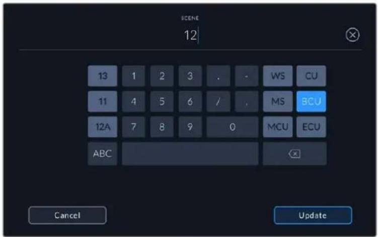SCENE 12 13 1 2 3 . - WS CU 11 4 5 6 / . MS BCU 12A 7 8 9 0 MCU ECU ABC Cancel Update