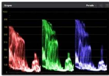 Blackmagic Design Video Assist 12G HDR - Utilizzare i visualizzatori di segnale - 1