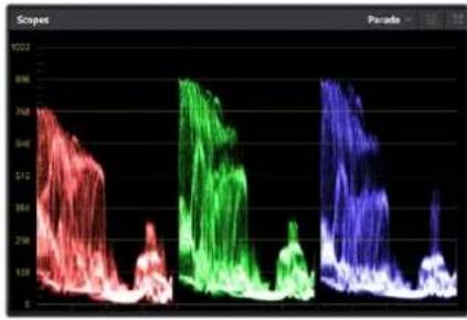 Blackmagic Design Video Assist 12G HDR - Verwenden von Scopes - 1