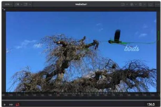Blackmagic Design Video Assist 12G HDR - Usar la función de seguimiento y agregar texto - 4