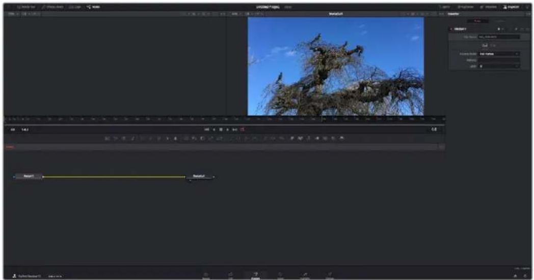 Screenshot of video editing software interface showing timeline, preview window with tree image, and playback controls