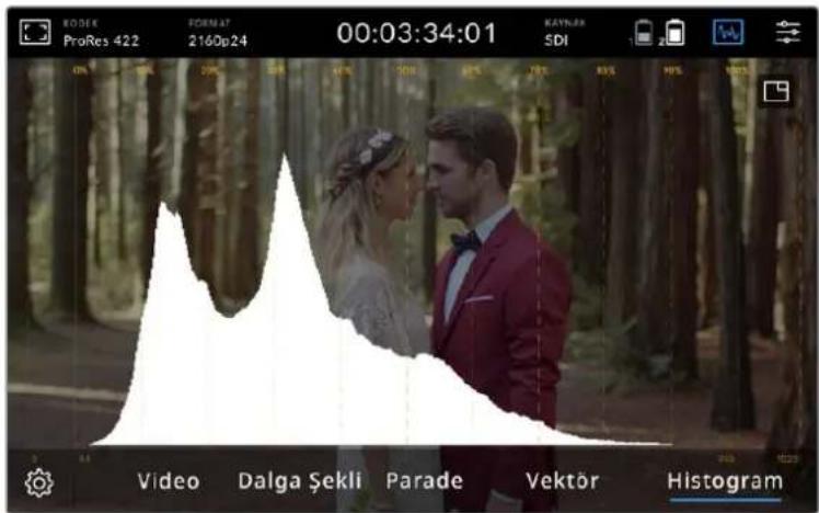 ROSEK ProRes 422 FORMAT 2160p24 00:03:34:01 RAYNAR SDI Video Dalga Şekli Parade Vektör Histogram