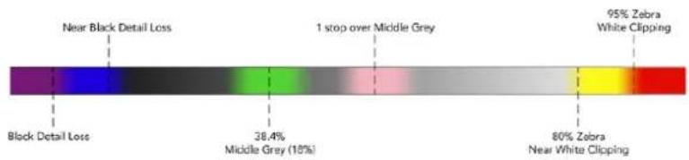 Blackmagic Design Video Assist 12G HDR - 폴스 컬러 - 2