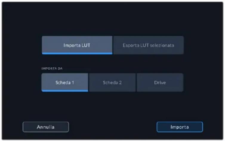 Importa LUT Esporta LUT selezionata IMPORTA DA Scheda 1 Scheda 2 Drive Annulla Importa