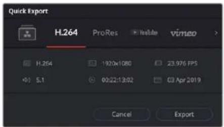 Blackmagic Design Video Assist 12G HDR - Порядок быстрого экспорта - 1
