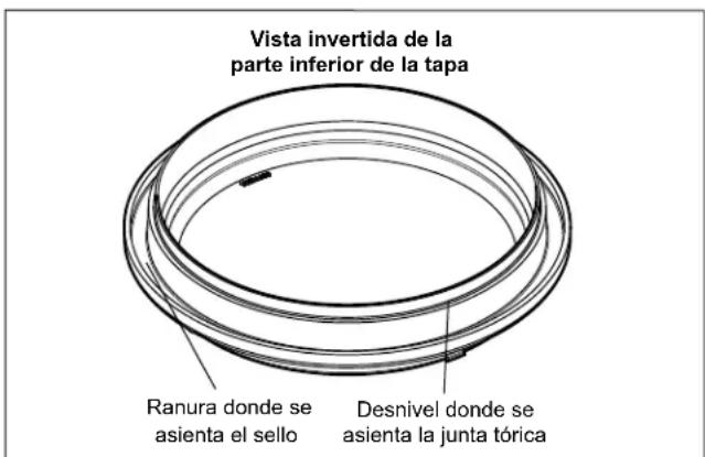 Jandy Stealth - Reemplace la junta tórica azul - 1