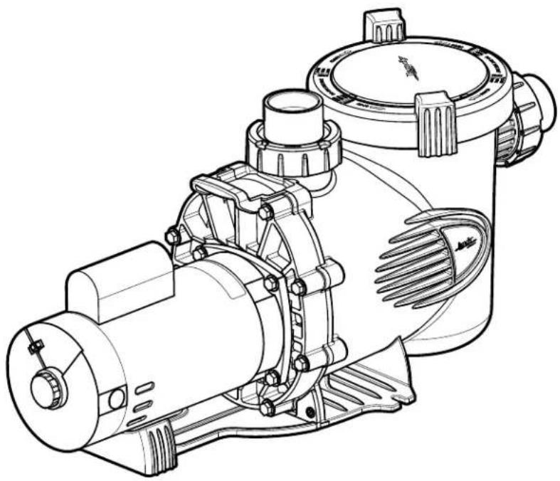 Jandy Stealth - Pump Dimensions - 4