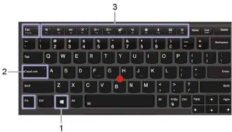 LENOVO ThinkPad T490s - ThinkPad X390 - 1