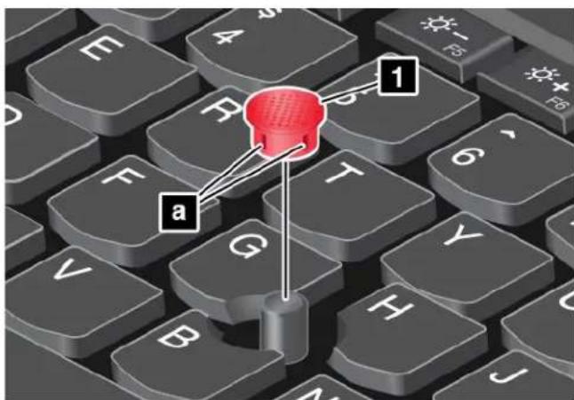 LENOVO Thinkpad L460 - Remplacementducapuchonduboutondepointage - 1