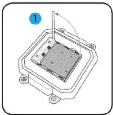 ASUS V2AH2 - Installer le CPU - 1