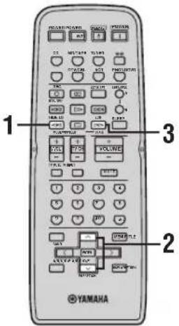 YAMAHA RX797 - De PTY SEEK functie - 1