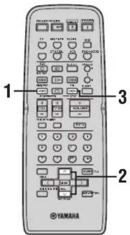YAMAHA RX797 - Funktionen PTY SEEK - 1