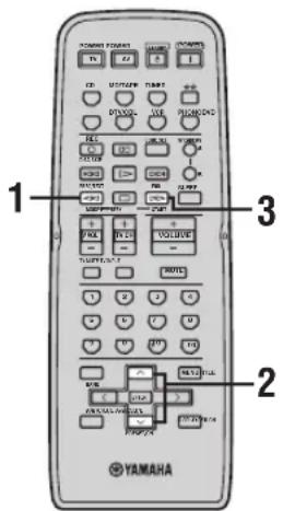 YAMAHA RX497 - Funktionen PTY SEEK - 1