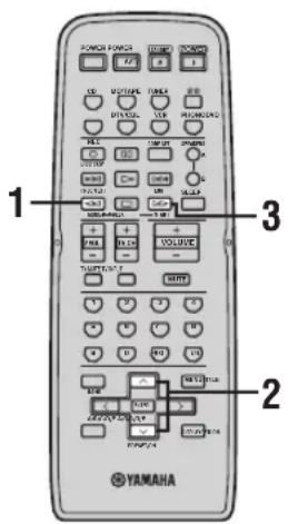 YAMAHA RX497 - Función PTY SEEK - 1