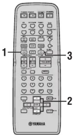 YAMAHA RX497 - PTY SEEK function - 1