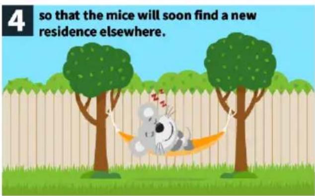 4 so that the mice will soon find a new residence elsewhere.