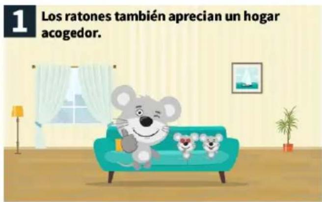 1 Los ratones también aprecian un hogar acogedor.