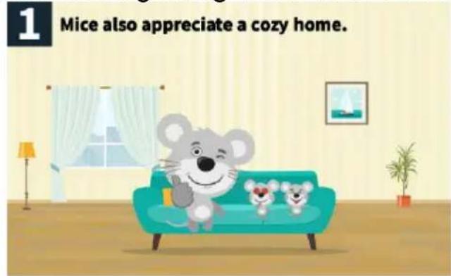 1 Mice also appreciate a cozy home.