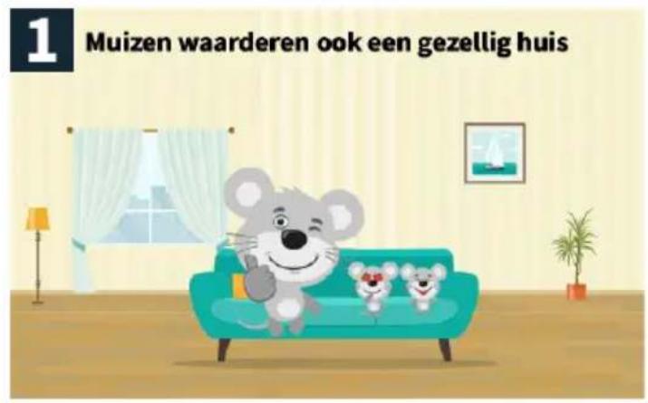 1 Muizen waarderen ook een gezellig huis