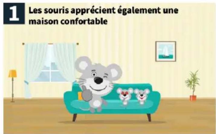 1 Les souris apprécient également une maison confortable