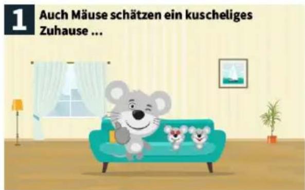 1 Auch Mäuse schätzen ein kuscheliges Zuhause ...