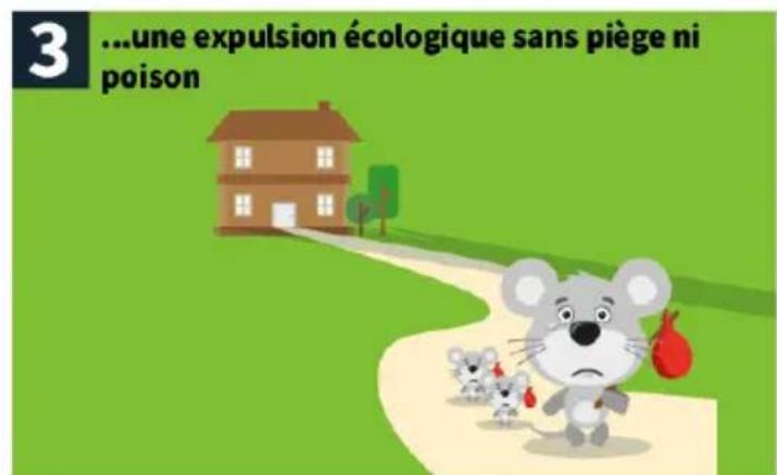 3 ...une expulsion écologique sans piège ni poison