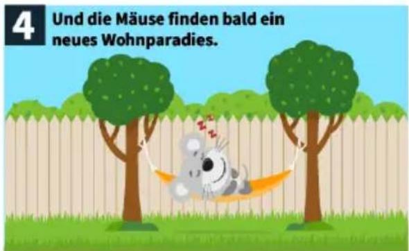 4 Und die Mäuse finden bald ein neues Wohnparadies.