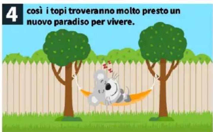 4 così i topi troveranno molto presto un nuovo paradiso per vivere.