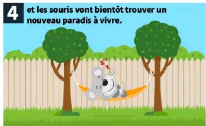 4 et les souris vont bientôt trouver un nouveau paradis à vivre.
