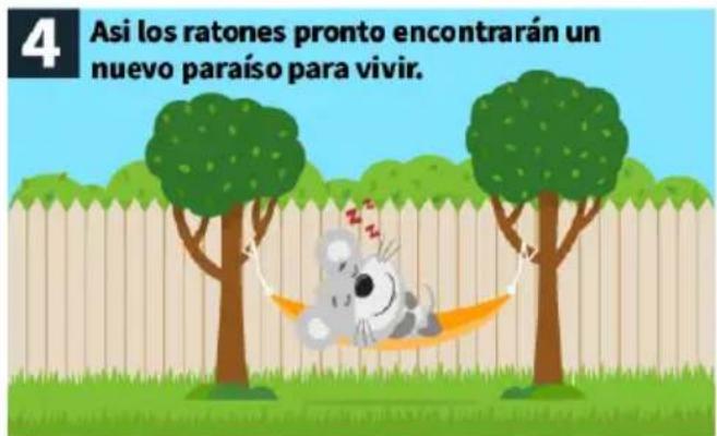 4 Asi los ratones pronto encontrarán un nuevo paraíso para vivir.