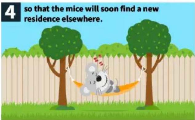4 so that the mice will soon find a new residence elsewhere.