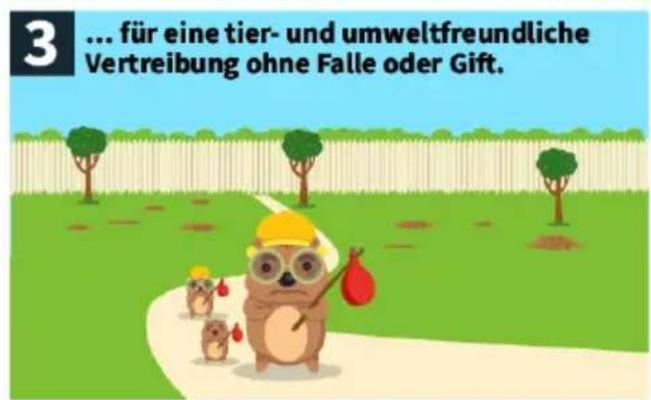 3 ... für eine tier- und umweltfreundliche Vertreibung ohne Falle oder Gift.