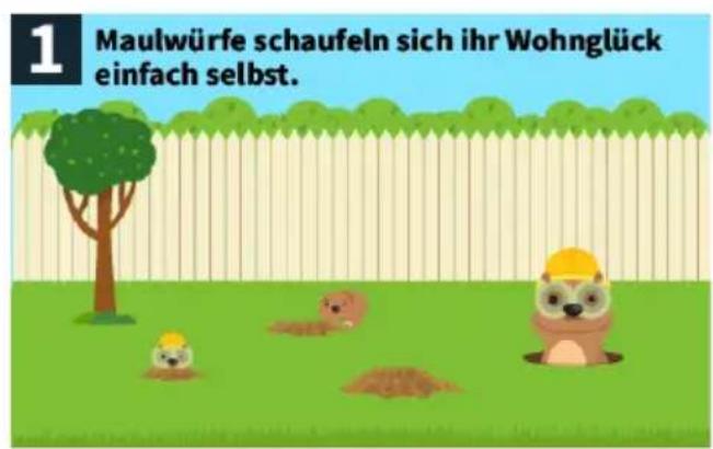 1 Maulwürfe schaufeln sich ihr Wohnglück einfach selbst.