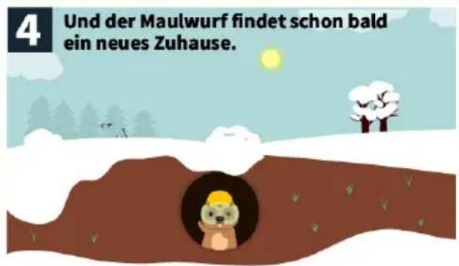 4 Und der Maulwurf findet schon bald ein neues Zuhause.