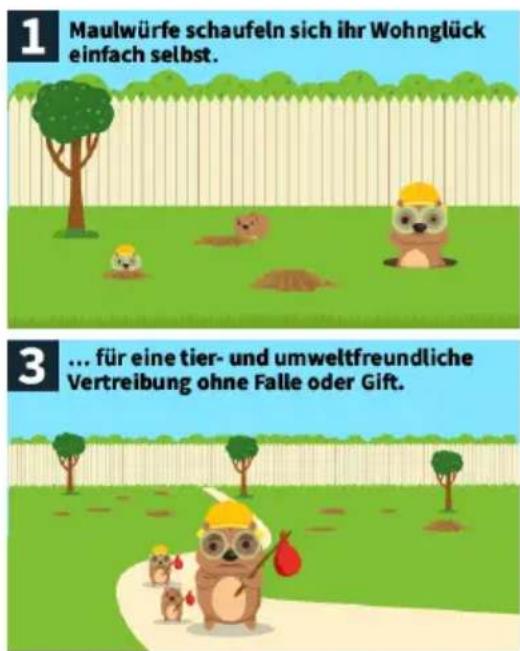 1 Maulwürfe schaufeln sich ihr Wohnglück einfach selbst. 3 ... für eine tier- und umweltfreundliche Vertreibung ohne Falle oder Gift.