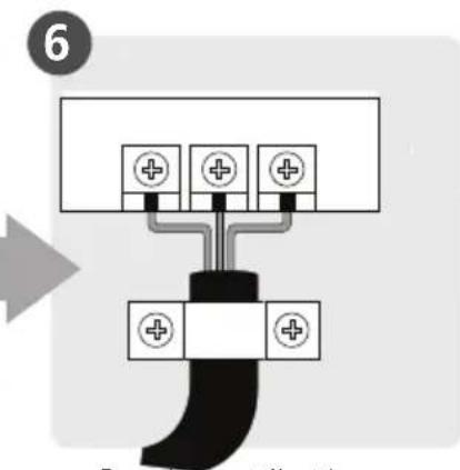 6 D