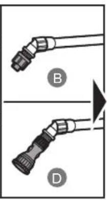 B D