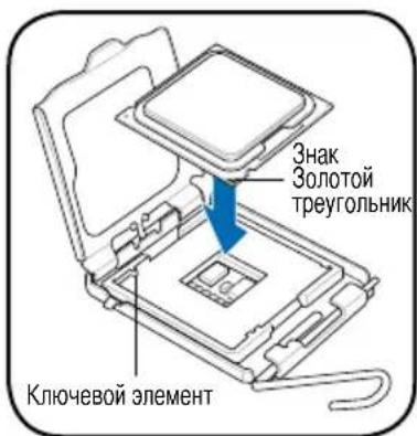 ASUS V2M3N8200 - Установка процессора Intel® Pentium® 4 в корпусе LGA775 - 3