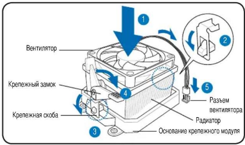 ASUS V2M3N8200 - Установка радиатора и вентилятора для процессора AMD - 1