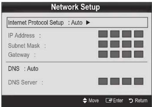 Network Setup Internet Protocol Setup : Auto ▶ IP Address : Subnet Mask : Gateway : DNS : Auto DNS Server :