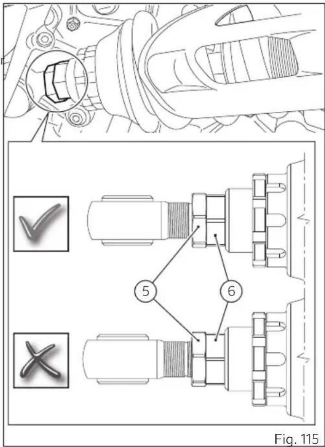 Fig. 115